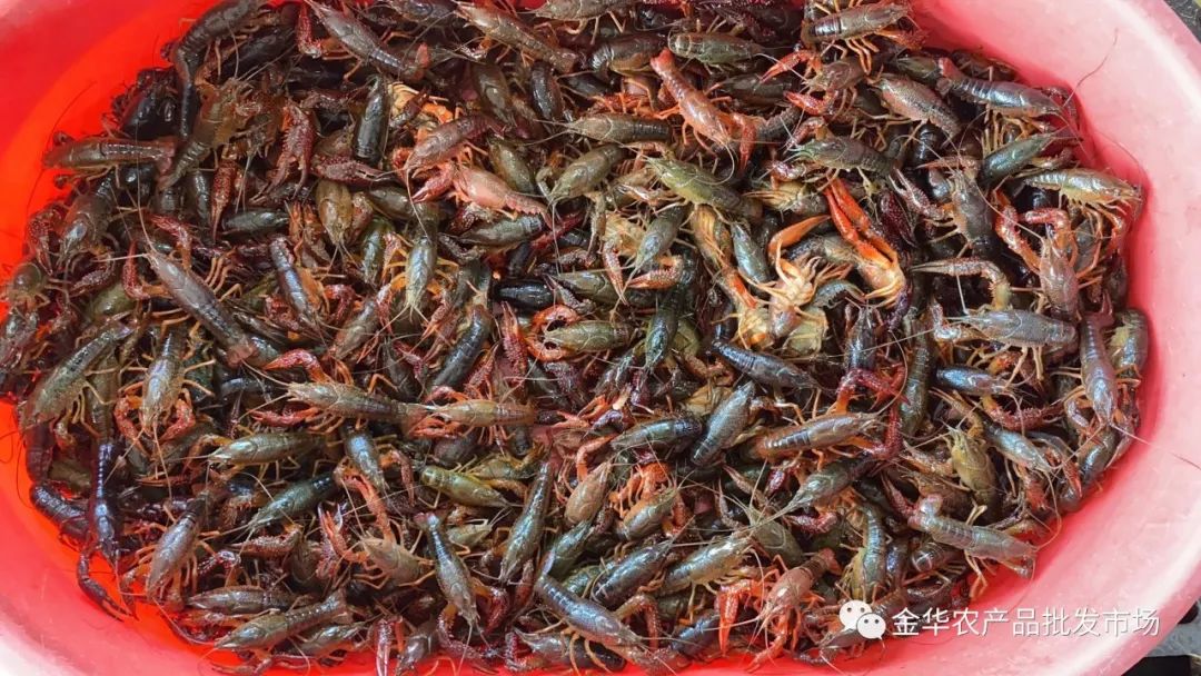 微信圖片_20220512082724.jpg